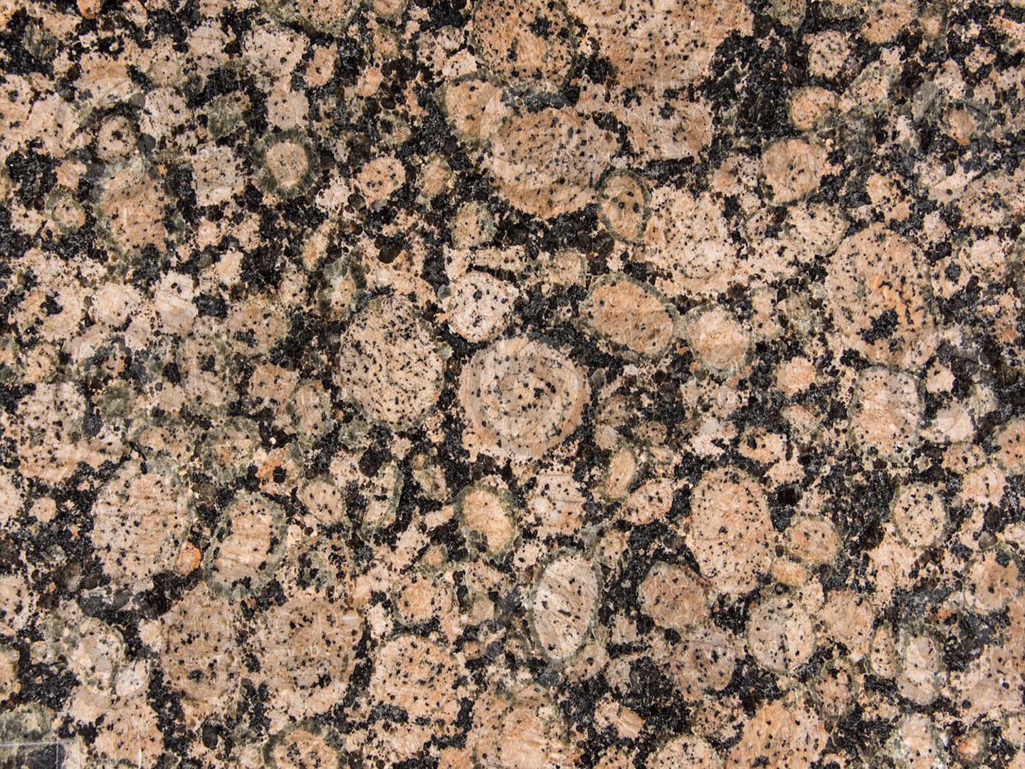 Žula Baltic Brown – vzorník STONIA